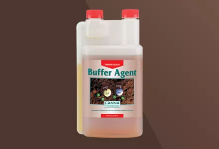 CANNA COGr Buffer Agent