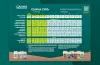 CANNA COGr Grow Schedule